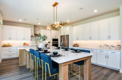Luciana Kitchen