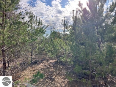 Parcel F-3 N 2 1 2 Rd, Hanover Township, MI 49620 - photo 7