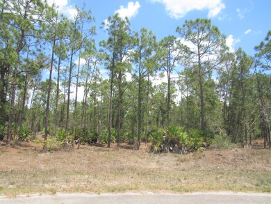 835 Gedeon Rd, Lehigh Acres, FL 33974 - photo 2