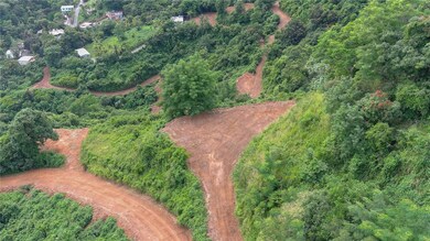 0 Carr 164, Naranjito, PR 00719 - photo 4