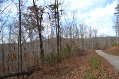 0 Tomahawk unit RTC3050220, Jamestown, TN 38556 - photo 3