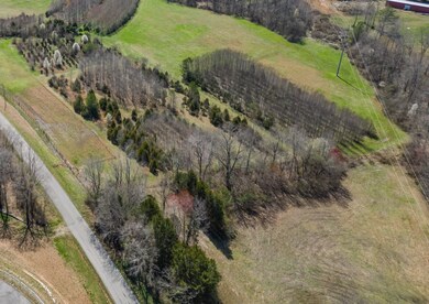 0 Will Hickerson Rd, Tullahoma, TN 37388 - photo 3