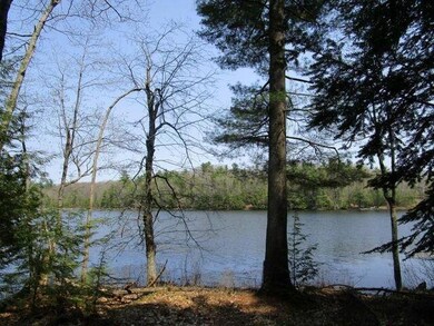 Pine Point 2
