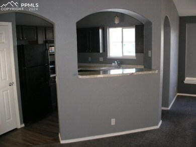 Kitchen with dark wood-type flooring and black fri