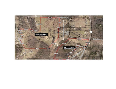 000 Prescott Rd, Kissee Mills, MO 65680 - photo 3