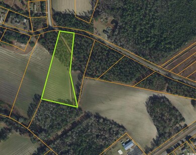 lot 5 Apple Valley Rd, Loris, SC 29569 - photo 2