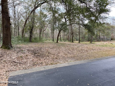 3570 Sasser Ln SW, Supply, NC 28462 - photo 6