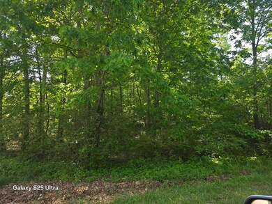 0 Millsap Rd unit 1511978, La Fayette, GA 30728 - photo 2