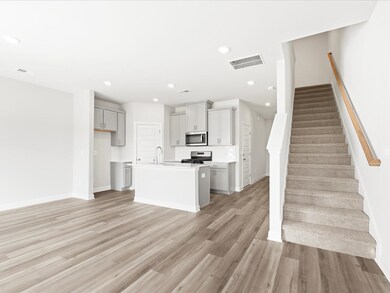 213 Cupid Ct, Greer, SC 29651 - photo 5