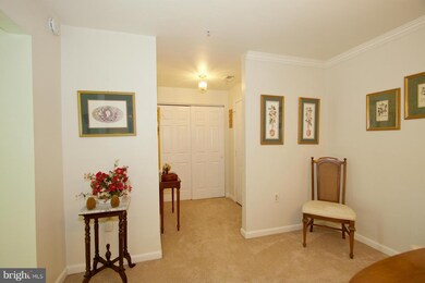 3901 Hannon Ct unit E, Nottingham, MD 21236 - photo 3