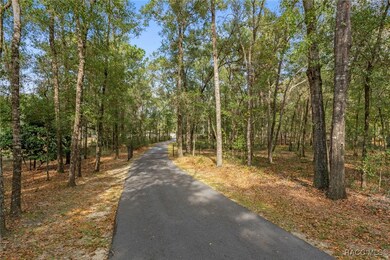 2656 E Hampshire St, Inverness, FL 34453 - photo 5