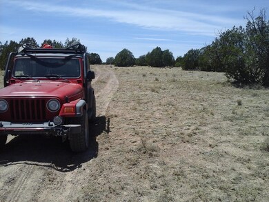 RIGHT VEHICLE