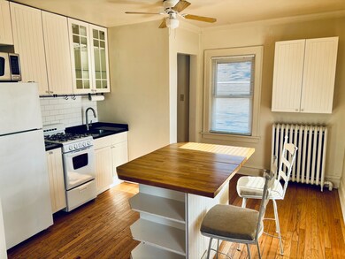 135 E North Ave unit 2, Elmhurst, IL 60126 - photo 2