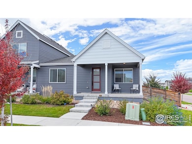 4901 Brule Dr, Timnath, CO 80547 - photo 6