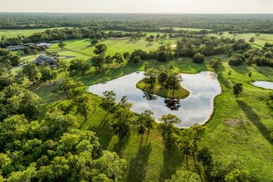 19220 Fm 442 Rd, Needville, TX 77461 - photo 4