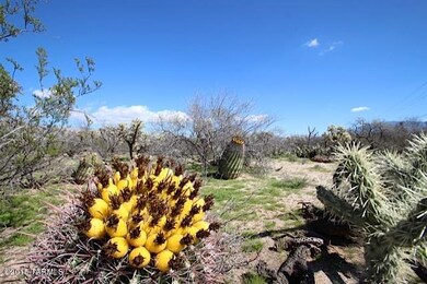 IMG_3361