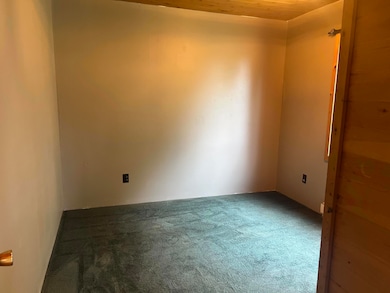 30009 S Springer Rd, Goetzville, MI 49736 - photo 7