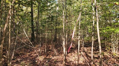 10.98 Acres Genito Rd, Amelia Ct Hse, VA 23002 - photo 7