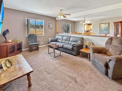 Carpeted living room featuring ceiling fan with notable chandelier, a textured ceiling, and baseboards