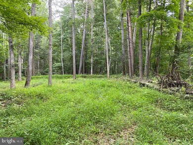 9.89Acs Rough Run Rd, Eastern, WV 26802 - photo 6