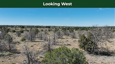 5823 N Cattle Guard Rd, Williams, AZ 86046 - photo 7