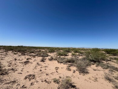 Lot 11 Block 2 Southland Rd unit 11, Alamogordo, NM 88310 - photo 3