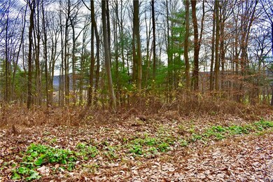 0 Rabbit Run & Orchard View unit 654256, Schuylkill County, PA 18211 - photo 4