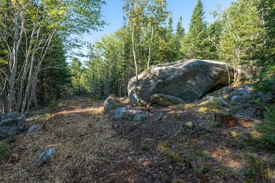 126 - Acadia View Land - DTP