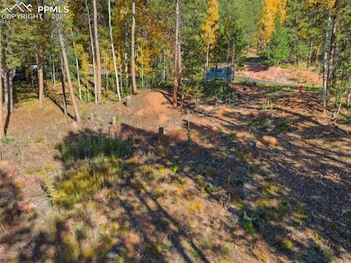 1320 Forest Edge Rd, Woodland Park, CO 80863 - photo 5