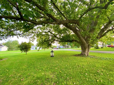 Swing & Feeder