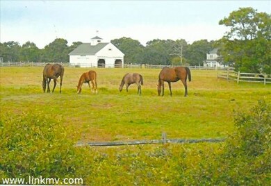 108 & 120 Pond Rd, West Tisbury, MA 02575 - photo 3