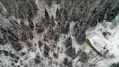 me-aerial-mixed-woods