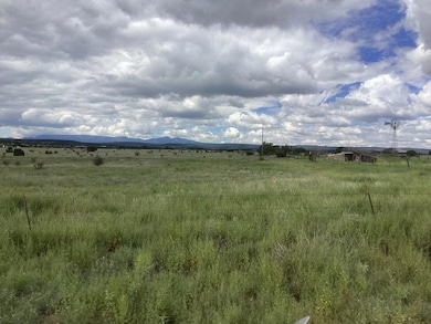 0 County Rd A052 Tract A unit 1094771, Estancia, NM 87016 - photo 5