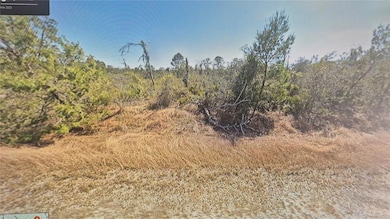 3138 Aster Ave, Lake Placid, FL 33852 - photo 3