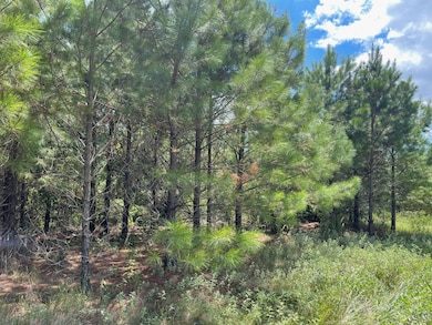 00 Mississippi 7, Grenada, MS 38901 - photo 4