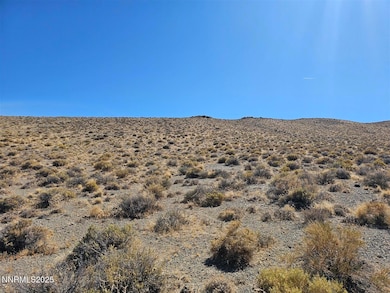 12.92ac Patented Mining Claim, Yerington, NV 89447 - photo 4