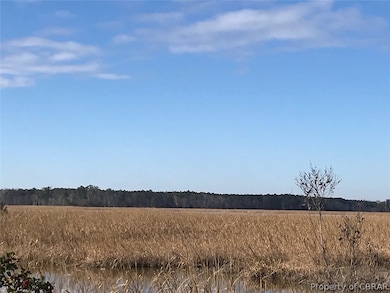 14 Goose Creek Dr, Shacklefords, VA 23156 - photo 2