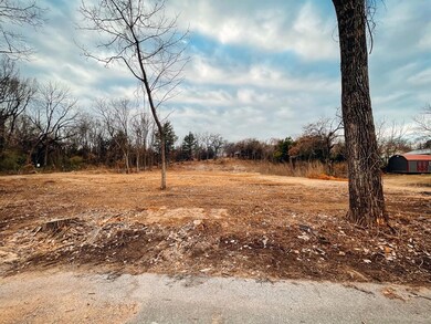 1115 S Chandler Ave, Denison, TX 75020 - photo 6