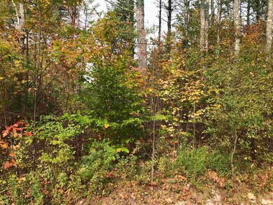 00 Granite and Leighton Corner Rd, Ossipee, NH 03864 - photo 2