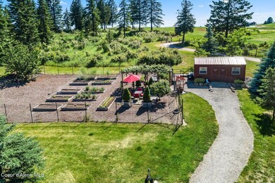 Raised beds, and Fruit trees