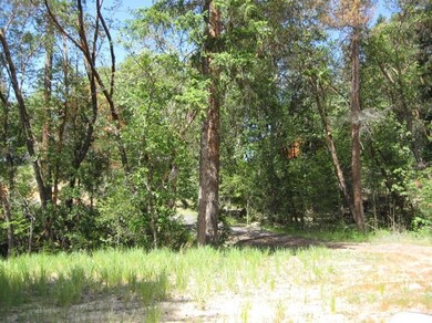 107 Columbia Crest Dr, Merlin, OR 97532 - photo 7