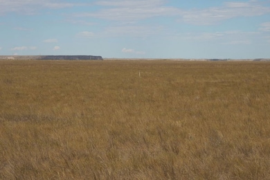 Tbd Cr 73 Lot unit WP001, Hereford, CO 80732 - photo 2