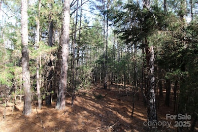 Lot 2 5+/-AC Bookout Rd, Rock Hill, SC 29730 - photo 2