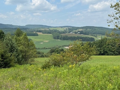 4380 New York 80, Columbus, NY 13460 - photo 2