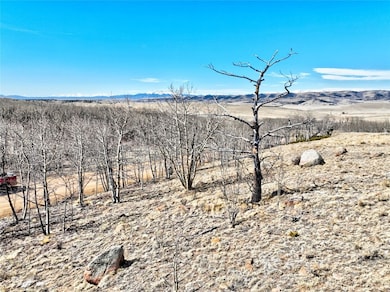 429 Caracara Ln, Como, CO 80456 - photo 6