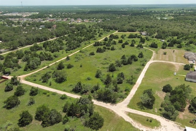 Aerial view of a forest