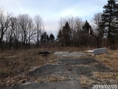 4933 Olive Branch Rd, Three Oaks, MI 49128 - photo 3