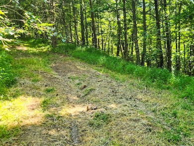 0 Alberta St, Oneida, TN 37841 - photo 4