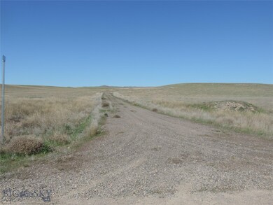 The road less traveled (Bitteroot)