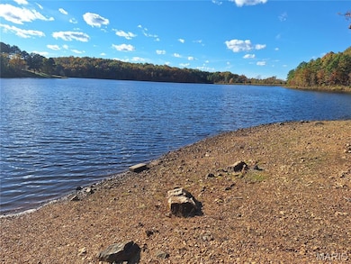 4 Turkey Creek, Lowndes, MO 63951 - photo 6